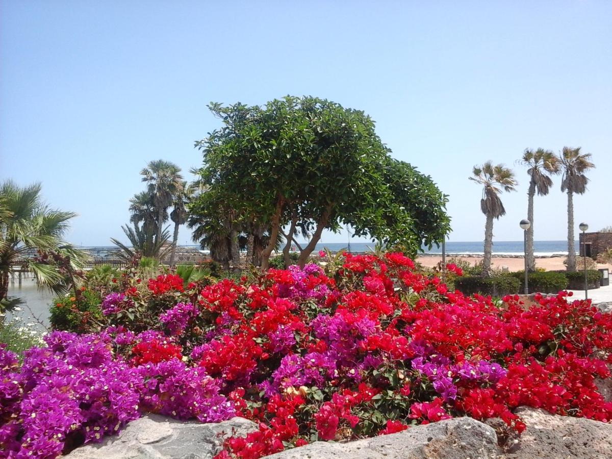 דירות קלטה דה פוסטה Sol Y Luz מראה חיצוני תמונה